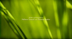 خیلی خیلی کوچک (2) (شکار حشره)